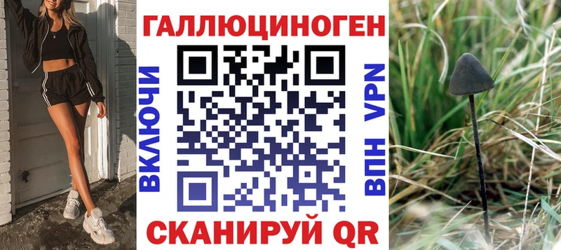 купить  цена  Тетюши  Галлюциногенные грибы Psilocybe 